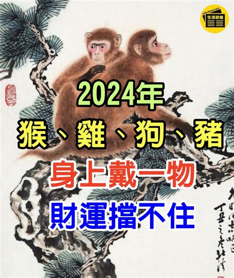 屬豬配戴|【屬豬配戴】屬豬配戴哪款吉祥物讓你財運亨通、健康順利？